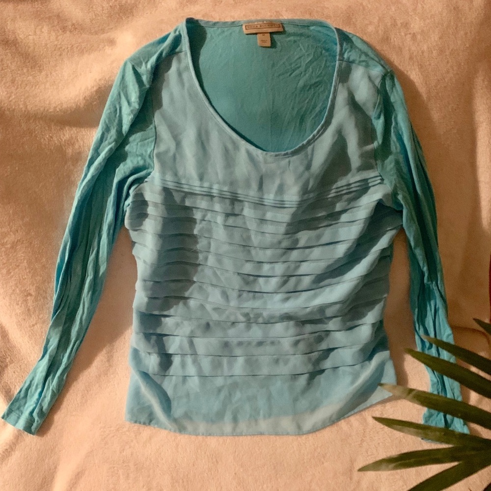 Dana Buchman Baby Blue Ruffle Long Sleeve Top M